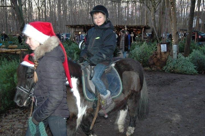 Julepladsen ved frederiksdal slot D 16-17/12-17 billede 9