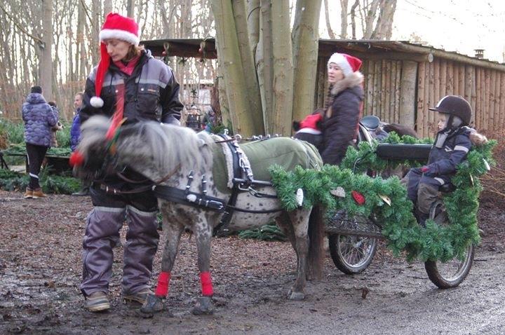 Julepladsen ved frederiksdal slot D 16-17/12-17 billede 10