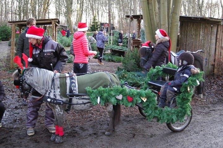 Julepladsen ved frederiksdal slot D 16-17/12-17 billede 11