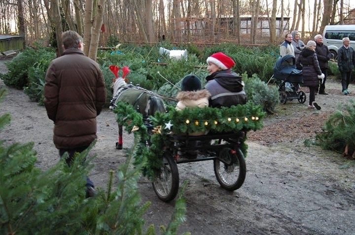 Julepladsen ved frederiksdal slot D 16-17/12-17 billede 12