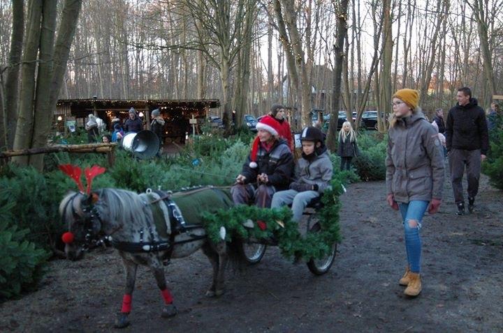 Julepladsen ved frederiksdal slot D 16-17/12-17 billede 13
