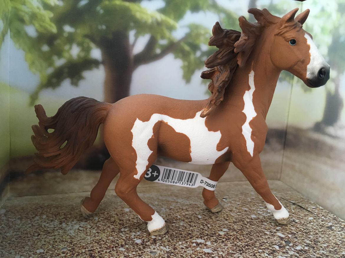 Mine Schleich Dyr - Navn: Courage. Race: Pinto. Køn: Hingst. Alder: 6 år billede 182