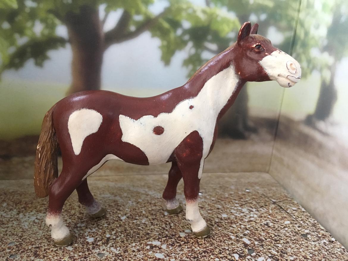 Mine Schleich Dyr - Navn: Indiana Jones (Indy) Race: Pinto Køn: Vallak Alder: 25 år billede 13