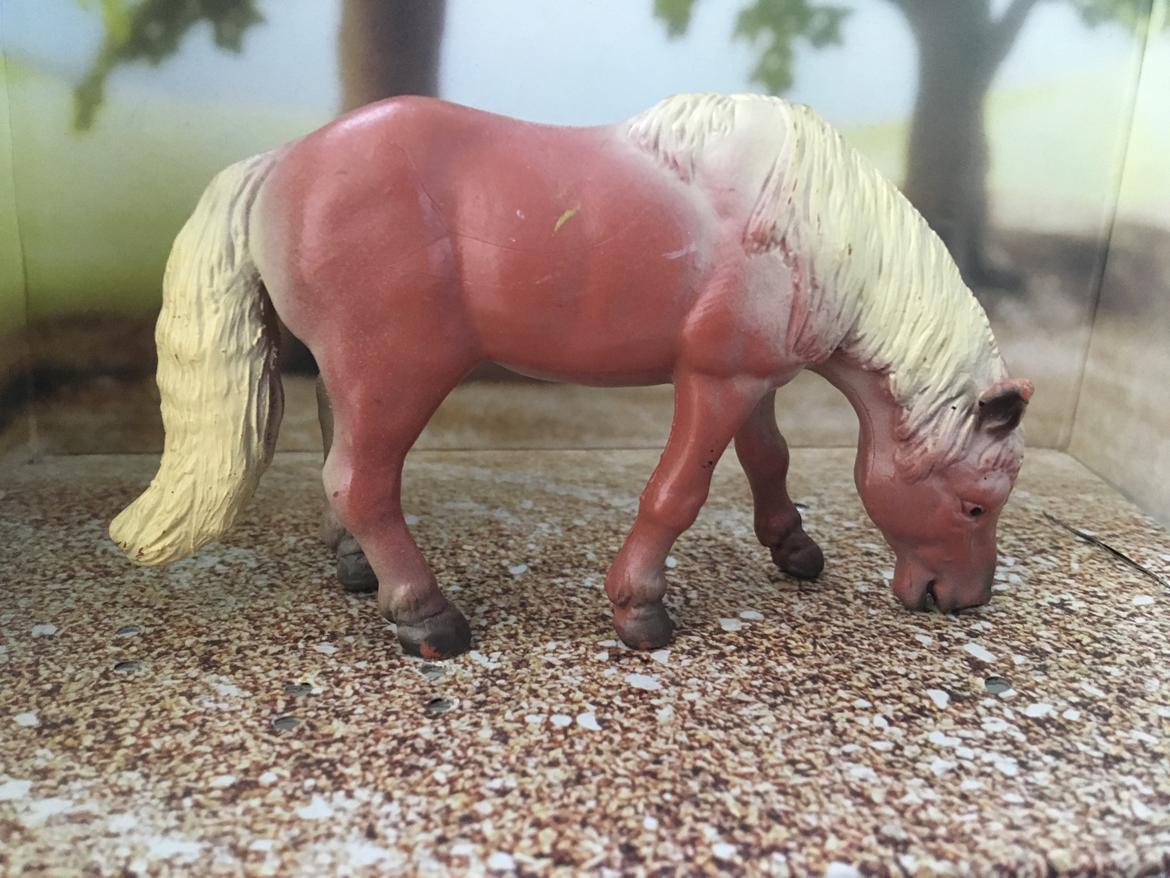Mine Schleich Dyr - Navn: Signe. Race: Haflinger. Køn: Hoppe. Alder:18 år billede 185