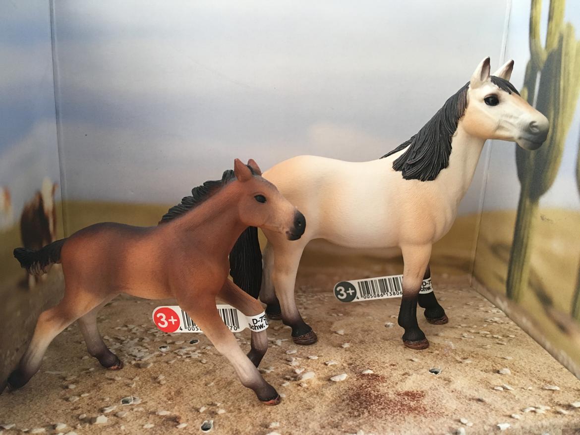 Mine Schleich Dyr - Navn: Penelope (Baby Girl) Race: Mustang. Køn: Hoppe. Alder: 13 år. Navn: Hindbærgårdens Sun On A Rainy Day (Sulli) Køn: Hingst. Alder: 3 mdr. Stamtavle: Mor: Penelope. Far: Spencer billede 188