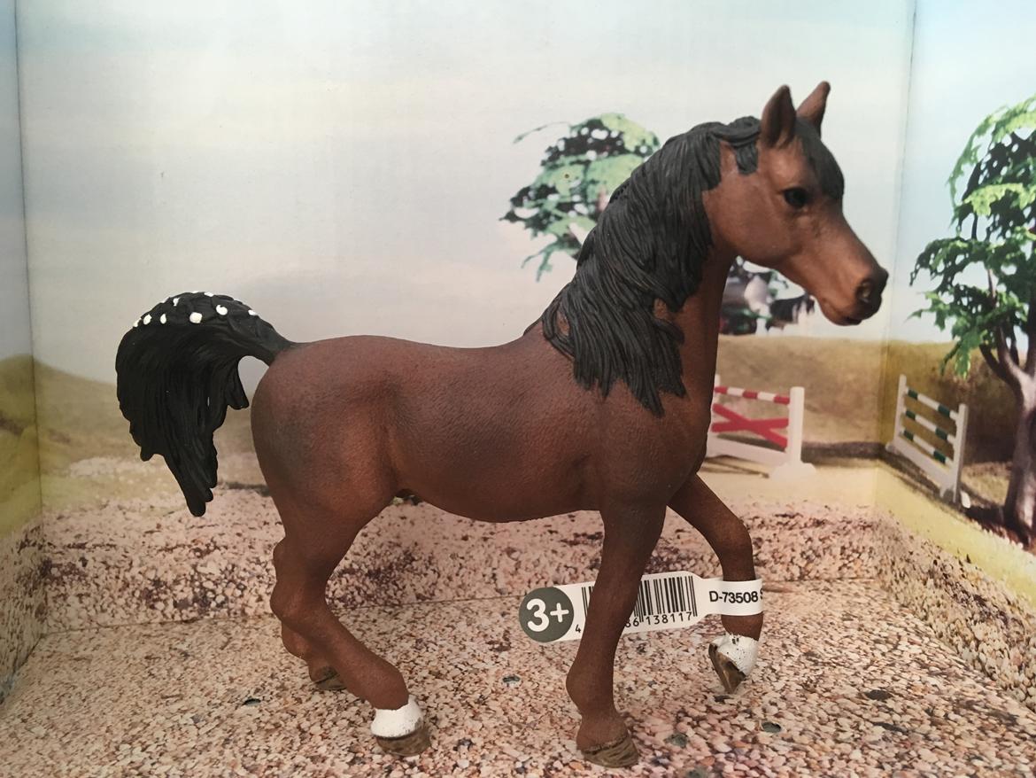 Mine Schleich Dyr - Navn: Cayan. Race: Araber. Køn: Hingst. Alder: 9 år billede 191