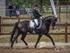 Jysk Rideuge med Highlight