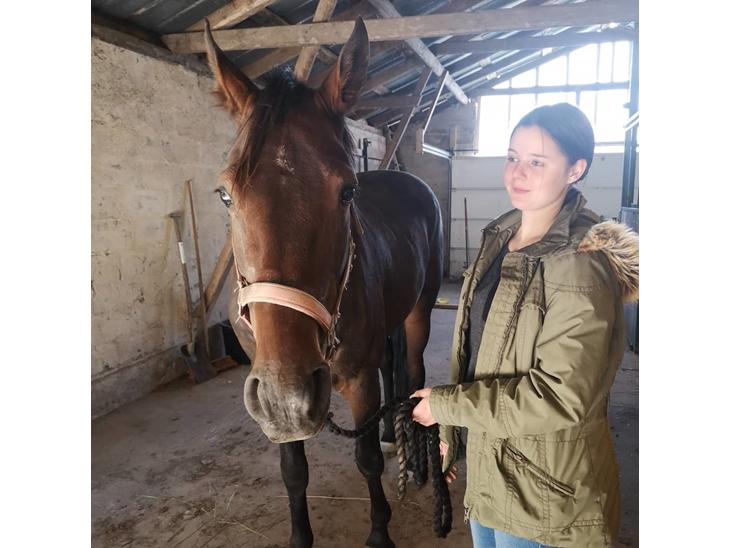 {{currentPhoto.altText}} billede {{currentPhoto.number}}