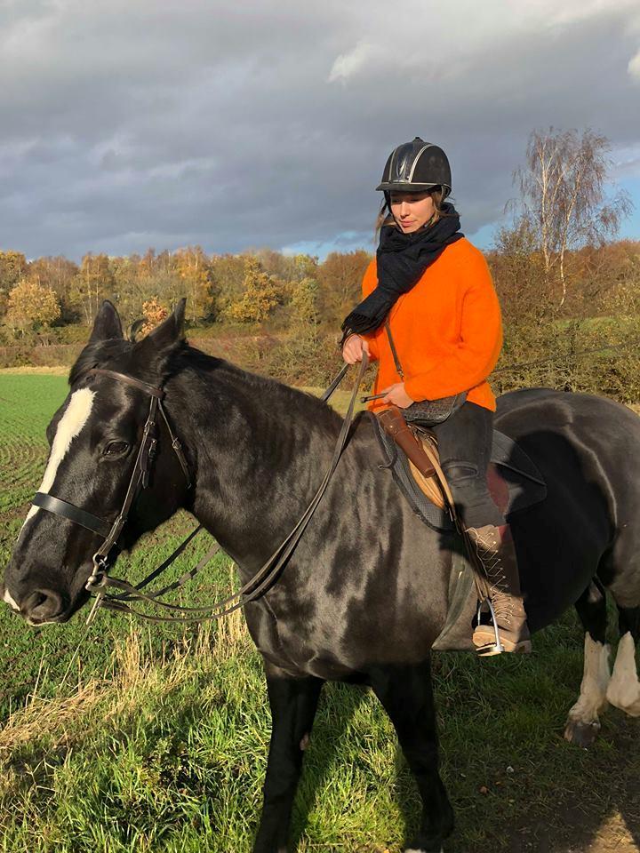 Alle heste jeg har redet i mit liv. <3 - Bess, 1993, Irish dragt/shire blanding fra Methley i Yorkshire, England. Jeg var på ferie 10.-16. november 2018 med lillesøster Emma, hvor jeg havde en bekendt, som kendte en lokal hesteejer. Neil - en 60årig mand, som havde redet bess til jagt. Derfor ser i det lille hylster på sadlen (til sprut). Vi red langs de gamle railway roads i 2 timers tid. Dejlige bess var 25 år og klarede det så fint. Meget høj hest. Over 180 til ryggen. Min søster red Creegan og vi byttede ude på turen. Noget af en udfordring at bestige sådan en hest. billede 88