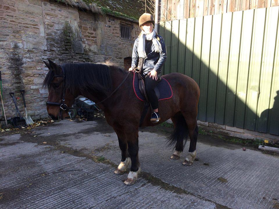 Alle heste jeg har redet i mit liv. <3 - Creegan, 1991, irish draft horse i Methley, Yorkshire i England. Min lillesøster red denne vallak - en tidligere militær/politi hest, som Neil (ejeren) har ejet hele livet. Super sød og frisk irsk koldblod. Jeg red ikke meget på ham, da jeg red ud på Bess. billede 89