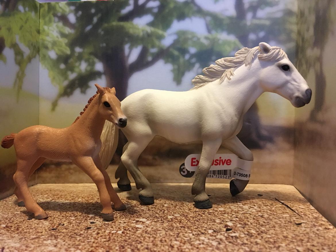 Mine Schleich Dyr - Navn: Anemone Race: Camarague Køn: hoppe Alder: 5 år Navn: Hindbærgårdens Cikorie Køn: hoppe Alder: 14 dage Stamtavle: Mor: Anemone Far: Birk   billede 201