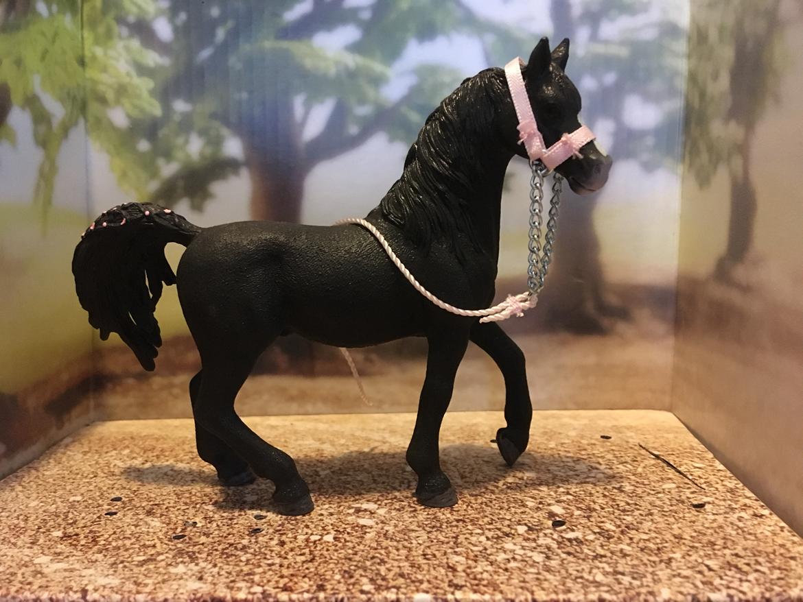 Mine Schleich Dyr - Navn: Al Kasir (Black) Race: Araber Køn: hingst Alder: 8 år billede 202