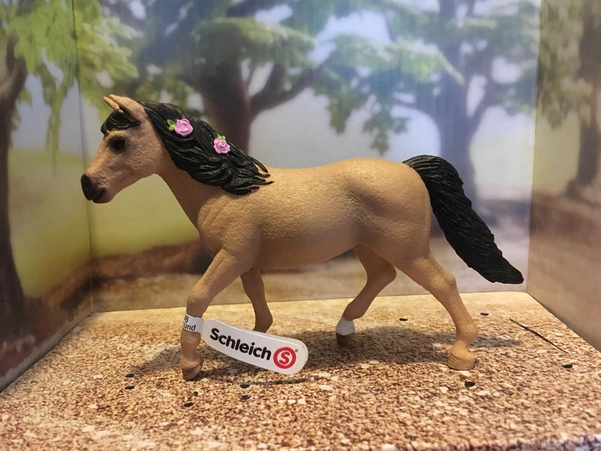 Mine Schleich Dyr - Navn: My World Of Fantacia (Fanta) Race: Connemara Køn: hoppe Alder: 4 år  billede 203