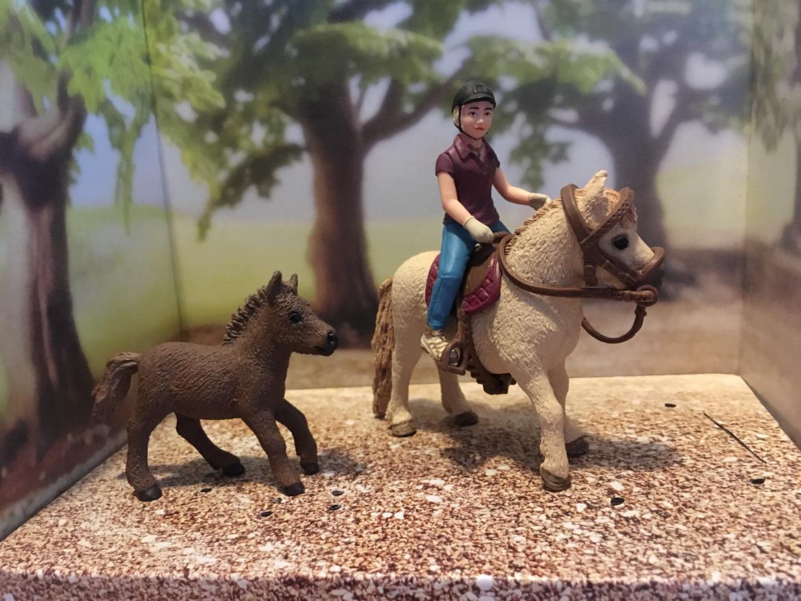 Mine Schleich Dyr - Navn: Maisy Race: Shetlænder Køn: hoppe Alder: 13 år Navn: Hindbærgårdens Turbo Køn: Hingst Alder: 2 mdr billede 204