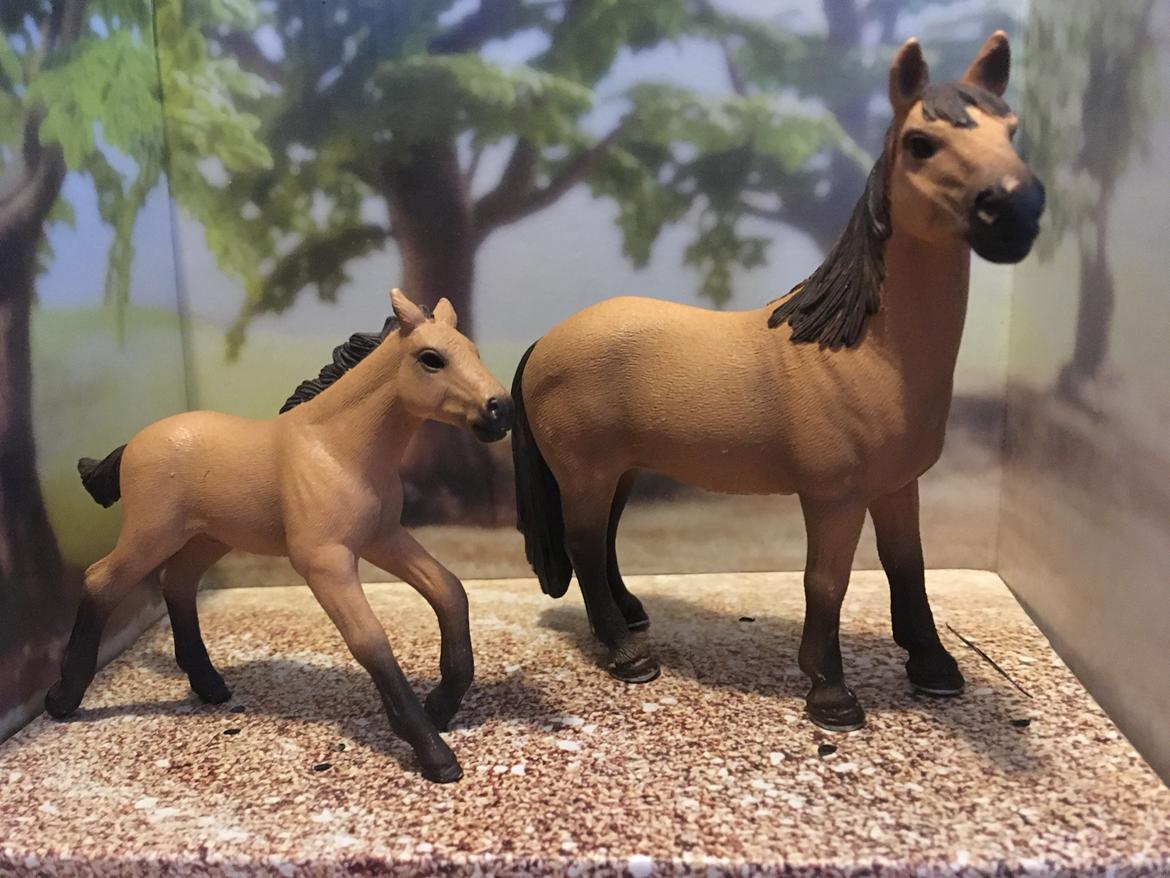 Mine Schleich Dyr - Navn: Georgina (Diva) Race: Mustang Køn: hoppe Alder: 10 år Navn: Hindbærgårdens Sweet Little Spirit of Comarron Køn: hingst Alder: 3 mdr Stamtavle: Mor Diva Far: Spencer billede 190