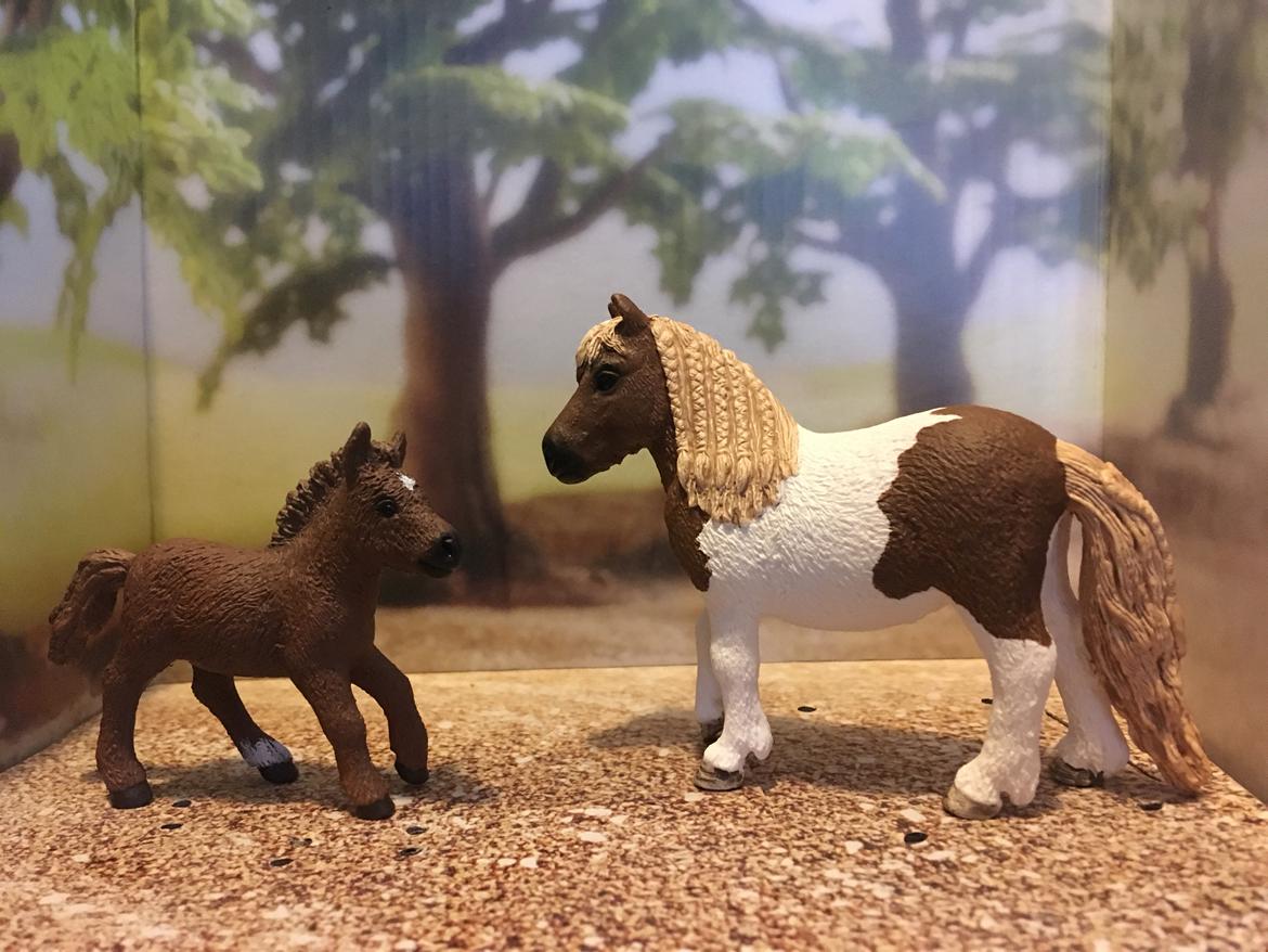 Mine Schleich Dyr - Navn: Sussie Race: Shetlænder Køn: hoppe Alder: 14 år Modelmalet: Navn: Hindbærgårdens LolliPop Køn: hoppe Alder: 1 mdr Stamtavle: Mor: Sussie Far. Mushroom Goerge billede 211