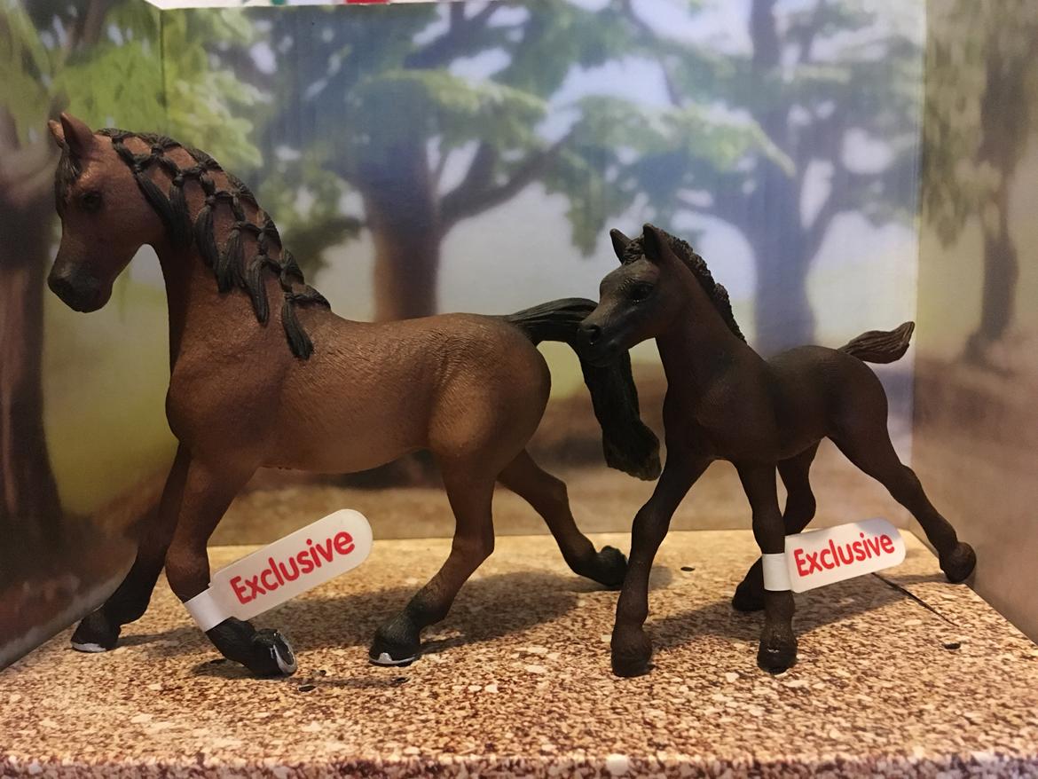 Mine Schleich Dyr - Navn: Levita Race: Araber Køb: hoppe Alder: 7 år Navn: Hindbærgårdens Laila Køn: hoppe Alder: 3 uger Stamtavle: Mor Levita Far: Cayan billede 192