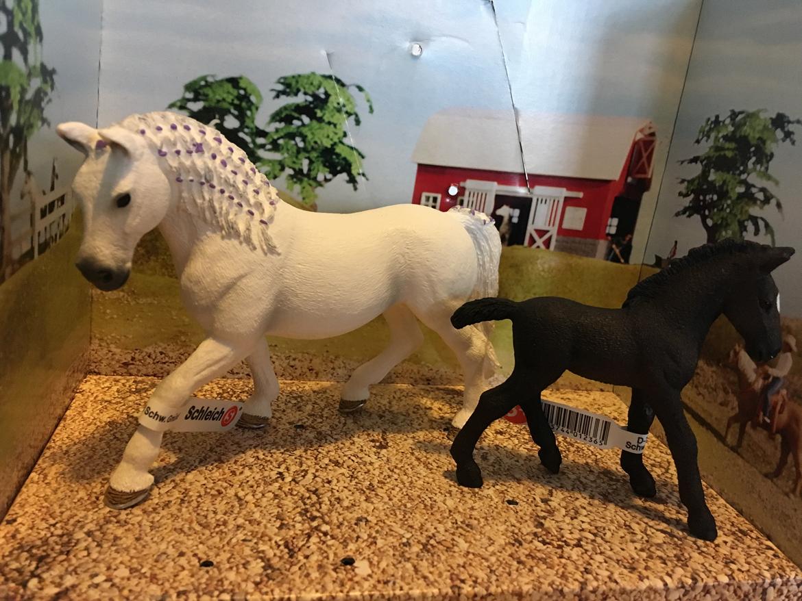 Mine Schleich Dyr - Navn: Hindbærgårdens Elana, Race: Lipizzaner, Køn: Hoppe, Alder: 10 år. Navn: Hindbærgårdens Estella, Køn: Hoppe Alder: 2 måneder billede 255
