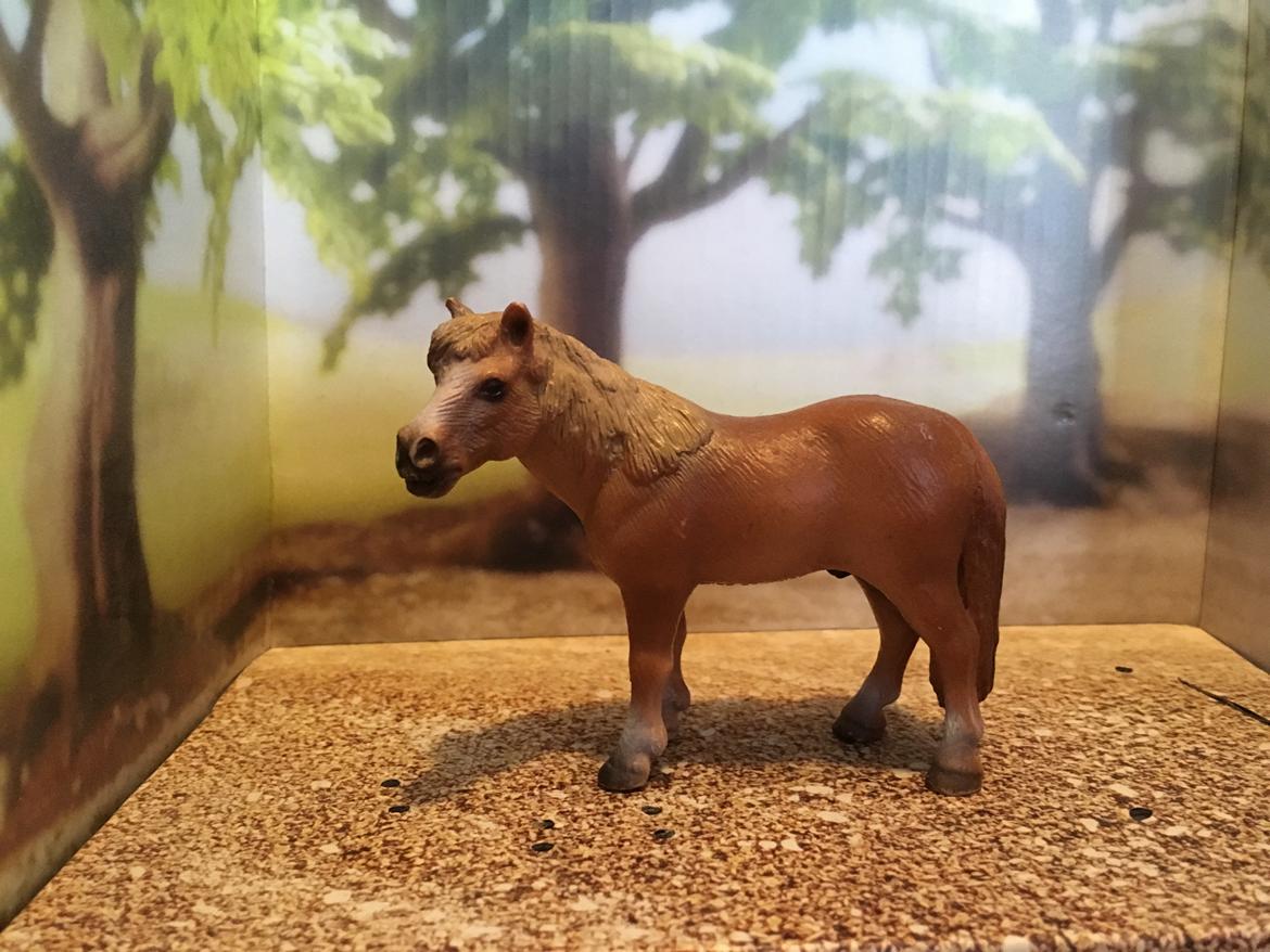 Mine Schleich Dyr - Navn: Solfarí (den der rejser med solen) Race: Islænder Køn: vallak Alder: 16 år billede 214