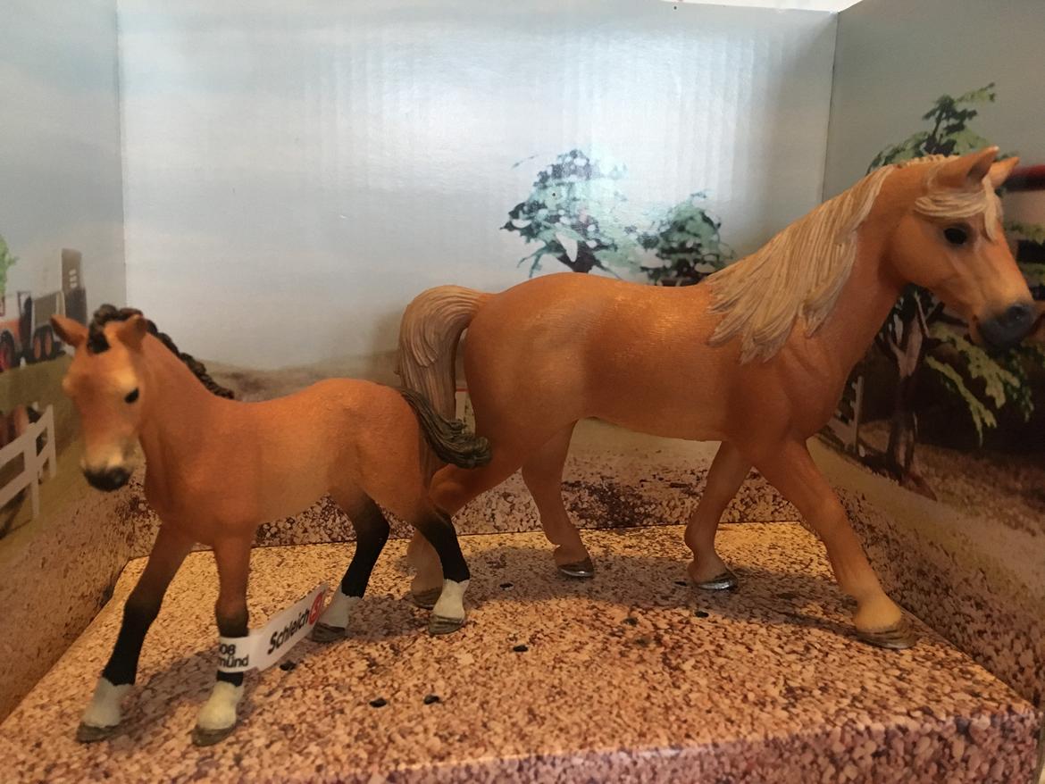 Mine Schleich Dyr - Navn: Abbigale (Abby) Race: Tennesee Walking Horse Køn: Hoppe Alder: 5 år Navn: Hindbærgårdens MaGee Køn: Hingst Stamtavle: Mor: Abbigale Far: McDreamy billede 258