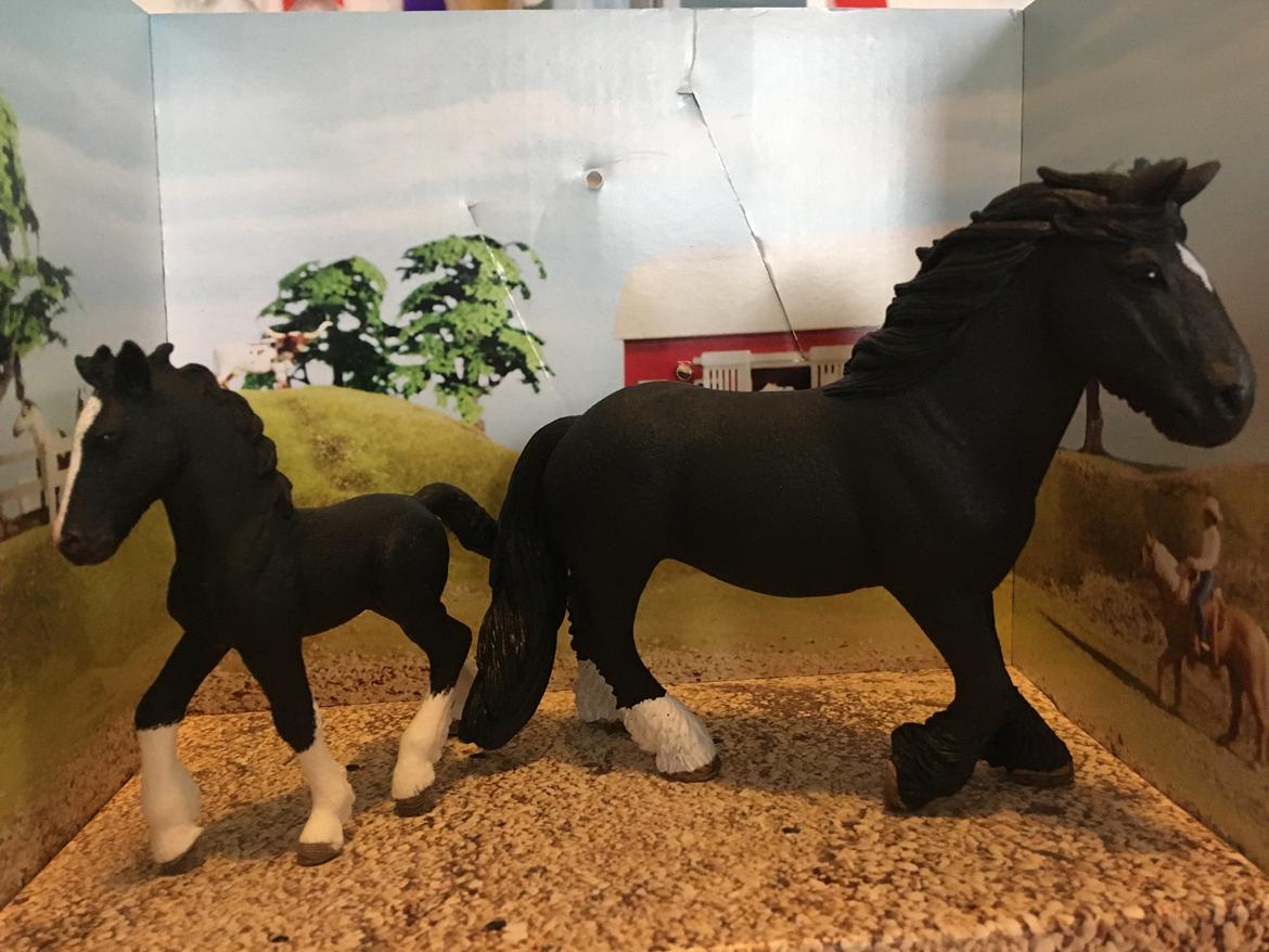 Mine Schleich Dyr - Navn: Aslaug Race: Tinker Køn: hoppe Alder: 5 år Modelmalet: Navn: Hindbærgårdens Alarik Son Of Eamon Køn: hingst Alder: 1 mdr. Stamtavle: Mor: Aslaug Far: Holms Eamon billede 218