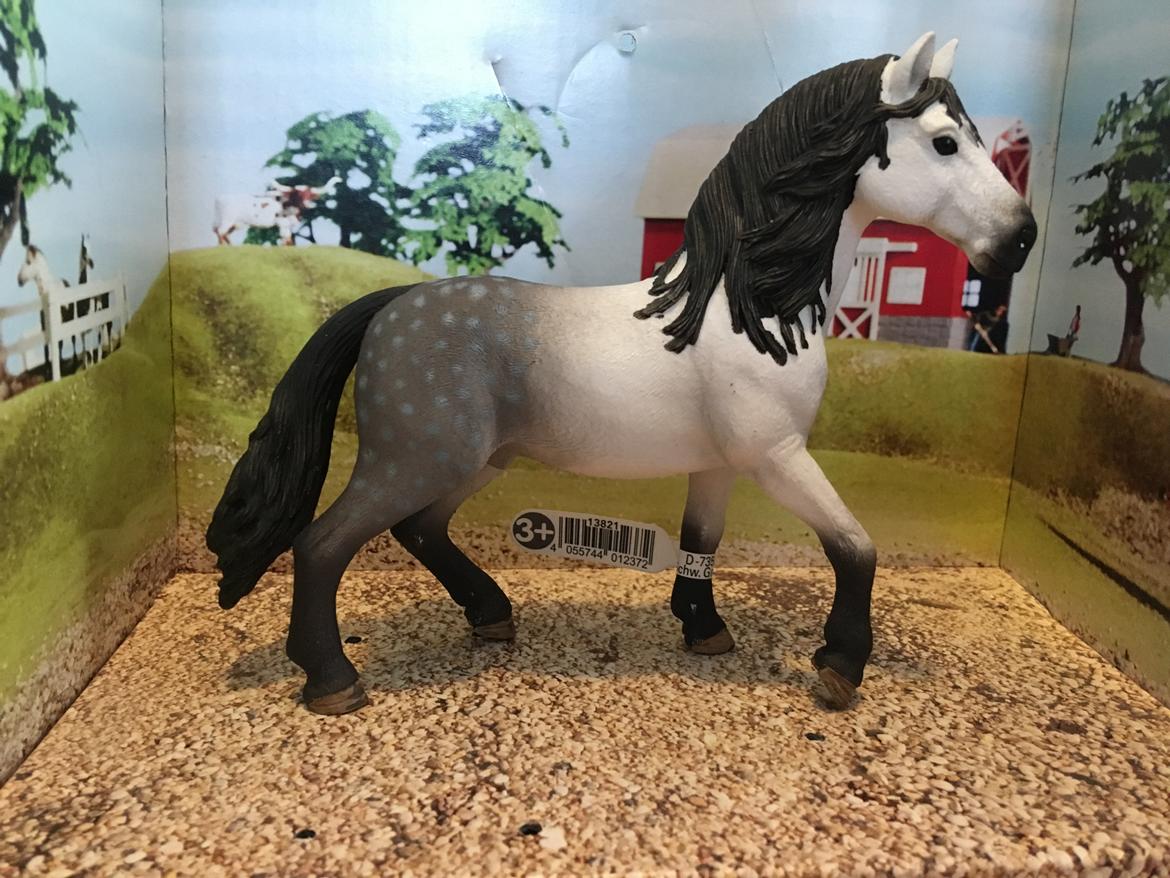 Mine Schleich Dyr - Navn: Lopéz Race: Andalusier Køn: hingst Alder: 8 år billede 221