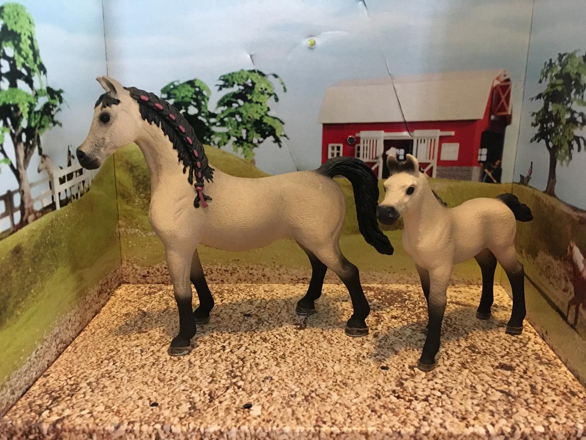 Mine Schleich Dyr - Navn: Ikeharah Race: Araber Køn: Hoppe Alder: 7 år Navn: Hindbærgårdens Ibi Køn: Hoppe Alder: 3 uger Stamtavle: Mor: Ikeharah Far: Cayan billede 233