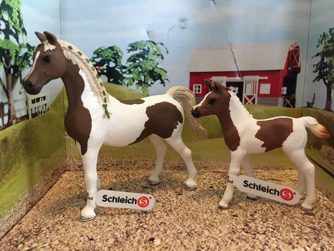 Mine Schleich Dyr - Navn: Lotus Race: Pintoaraber Køn: Hoppe Alder: 6 år Navn: Hindbærgårdens Lakicia Køn: Hoppe Alder: 4 uger Stamtavle: Mor: Lotus Far: Dekapo billede 232