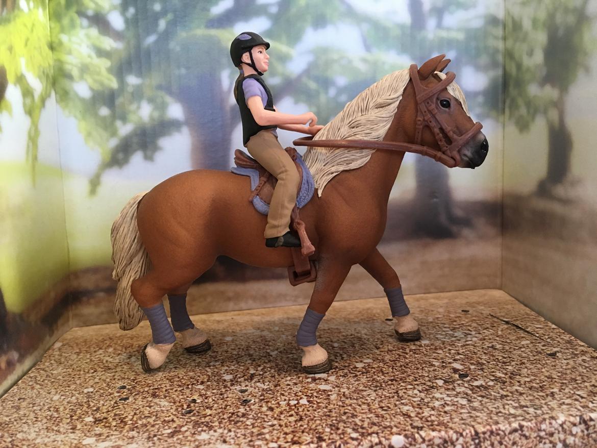 Mine Schleich Dyr - Navn: Chikadee Race. Ukendt Køn: hoppe Alder: 11 år Rytter: Ann billede 235