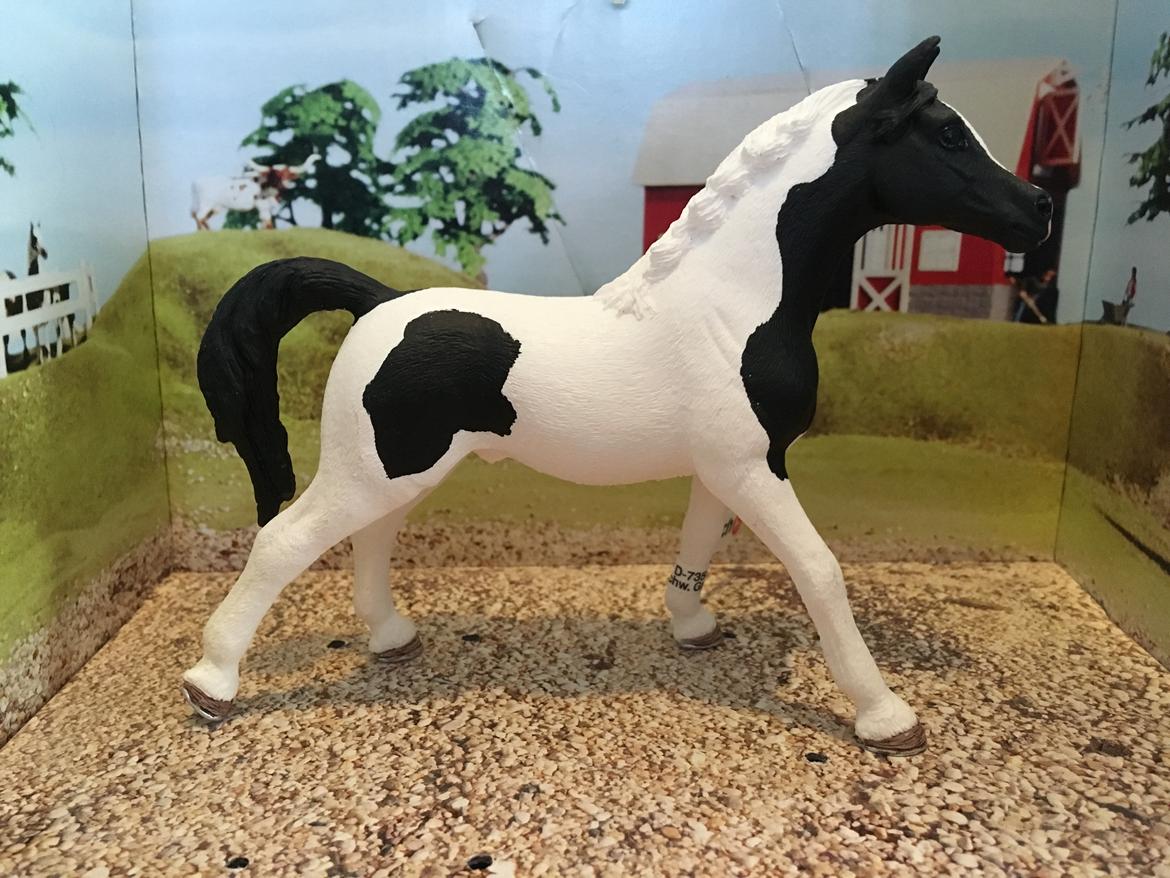 Mine Schleich Dyr - Navn: Dekapo Race: Pintoaraber Køn: Hingst Alder: 7 år billede 231