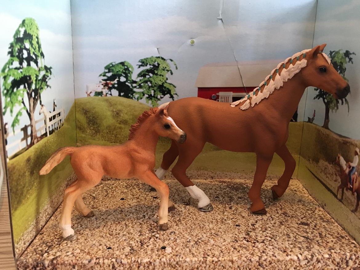 Mine Schleich Dyr - Navn: Allisons Wonder Race: Fuldblod Køn: hoppe Alder. 5 år Navn: Hindbærgårdens Wonder Princess Køn: hoppe Alder: 14 dage. Stamtavle: Mor Allisons Wonder Far: War Admiral billede 237
