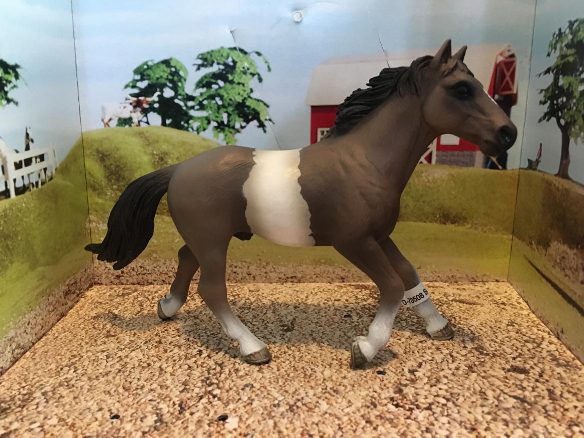 Mine Schleich Dyr - Navn: Ty Race: Pinto Køn: hingst Alder: 12 år billede 227