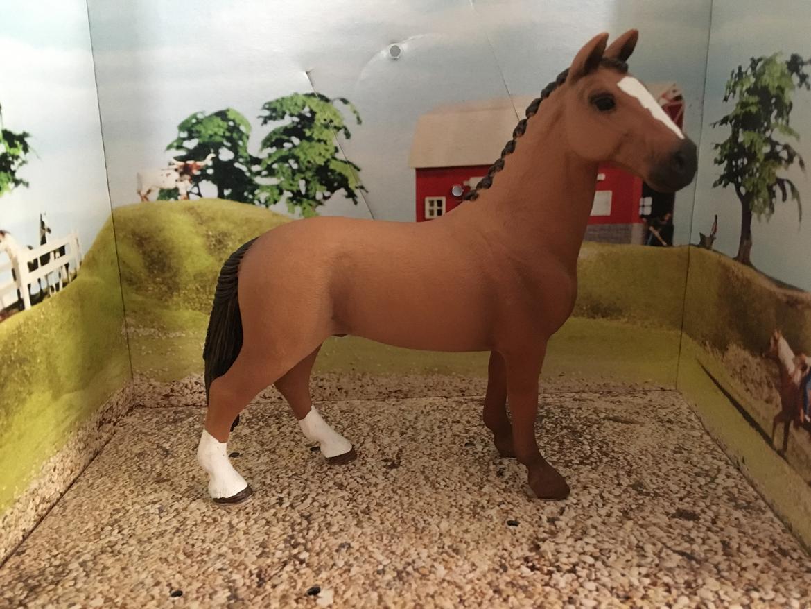 Mine Schleich Dyr - Navn: Ka$h Rase: Hanoveraner Køn: Vallak Alder 5år billede 242