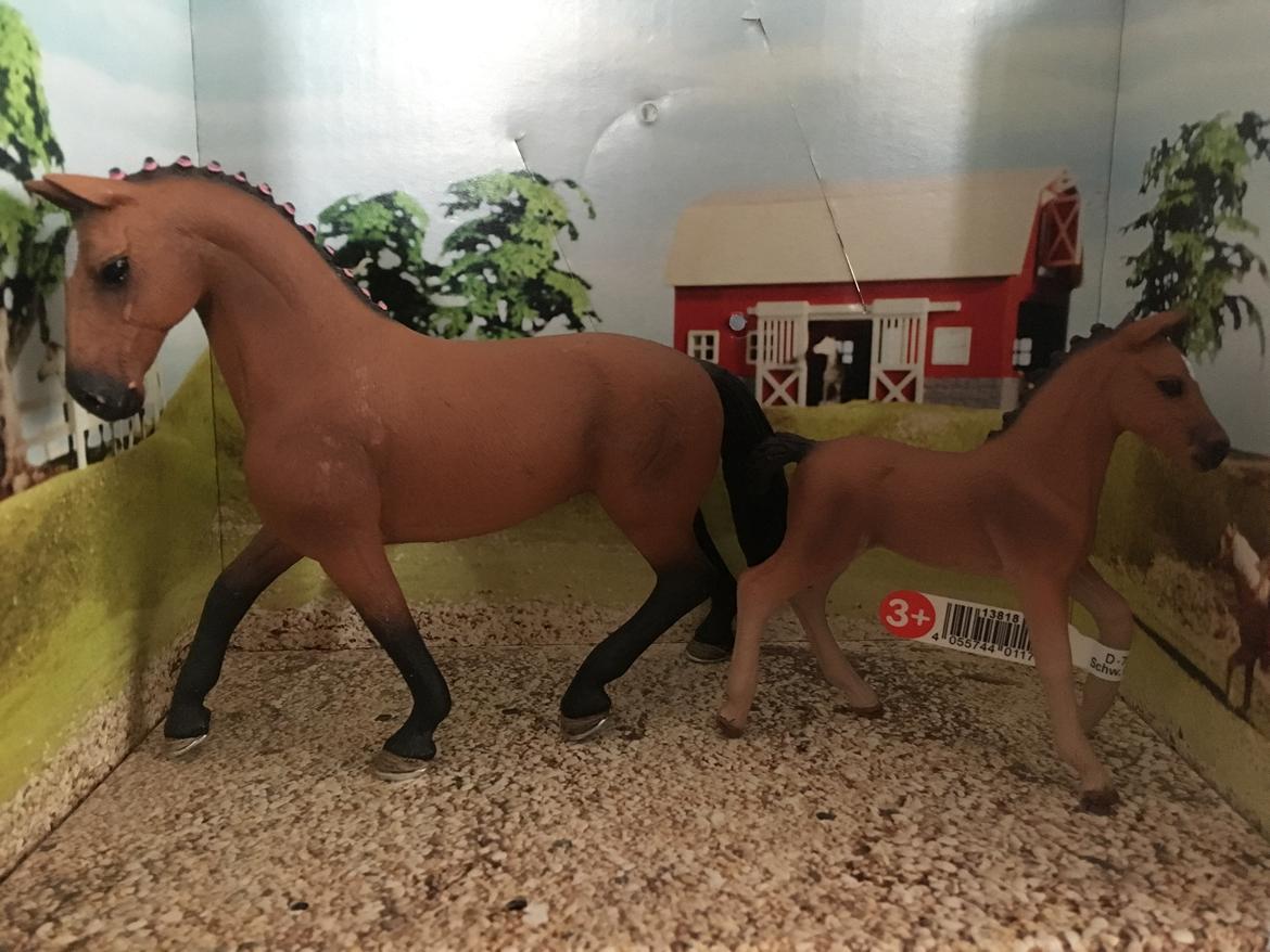 Mine Schleich Dyr - Navn: Althea Race: Hanoveraner Køn: Hoppe Alder: 4 år Navn: Hindbærgårdens Alpha Køn: Hoppe Alder: 5 uger Stamtavle: Mor: Althea Far: Ka$h billede 243