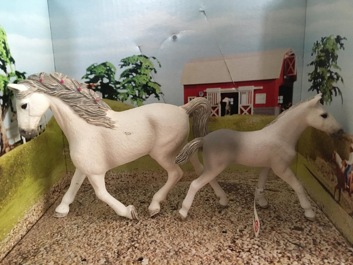 Mine Schleich Dyr - Navn: Summerbird Race: Holsteiner Køn: hoppe Alder: 14 år Navn: Hindbærgårdens Greyzone Special Køn: hingst Alder: 6 uger Stamtavle: Mor: Summerbird Far. Greyzone Delux billede 245