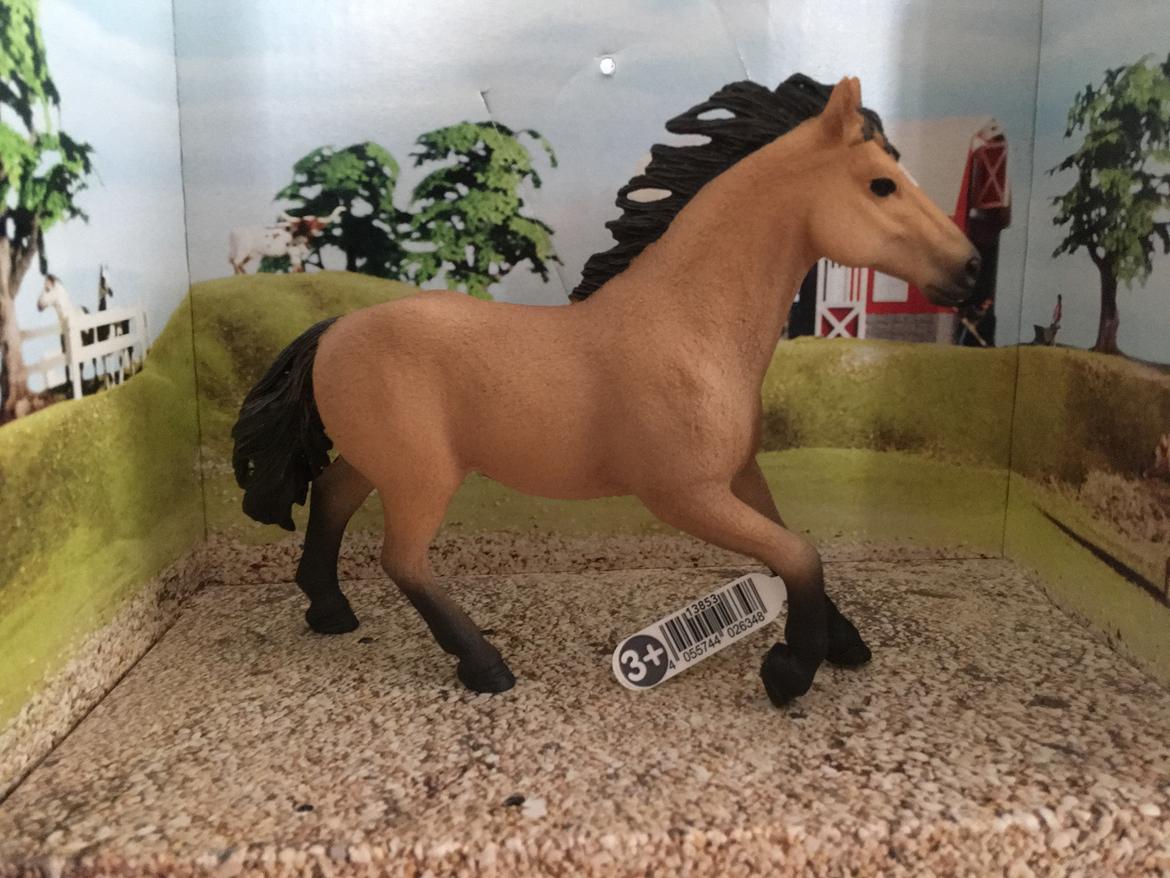 Mine Schleich Dyr - Navn: Boddy Race: Quarter Horse Køn: Hingst Alder: 11 år billede 246