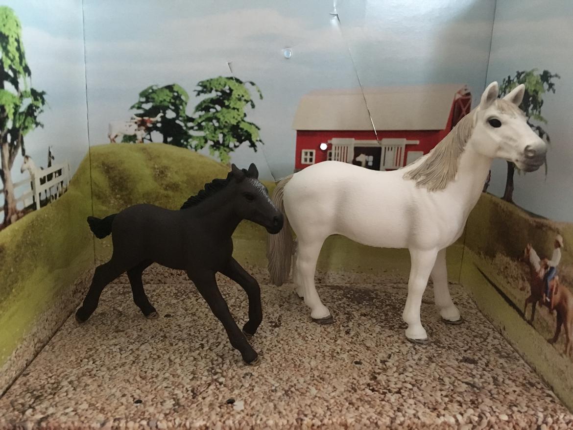 Mine Schleich Dyr - Navn: Pruedens (Snehvide) Race: Mustang Køn: Hoppe Alder: 6 år. Navn: Hindbærgårdens Silver Shadow At Night Køn: Hingst Alder 2 mdr. Stamtavle: Mor: Pruedens Far: Spencer billede 189