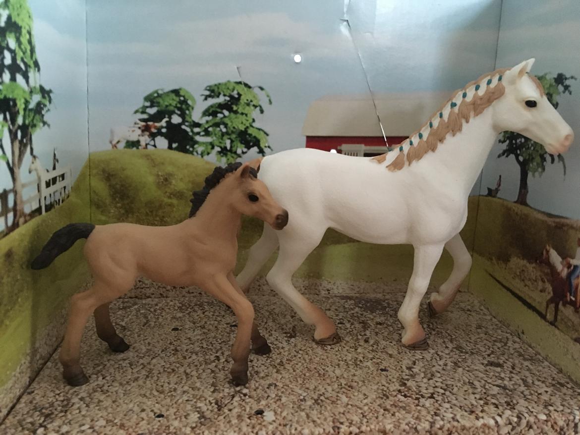 Mine Schleich Dyr - Navn: Marika Race: Fuldblod Køn: Hoppe Alder 5 år Navn: Hindbærgårdens Minniens Surprise Køn: Hoppe Alder: 10 dage Stamtavle: Mor: Marika Far: War Admiral billede 238