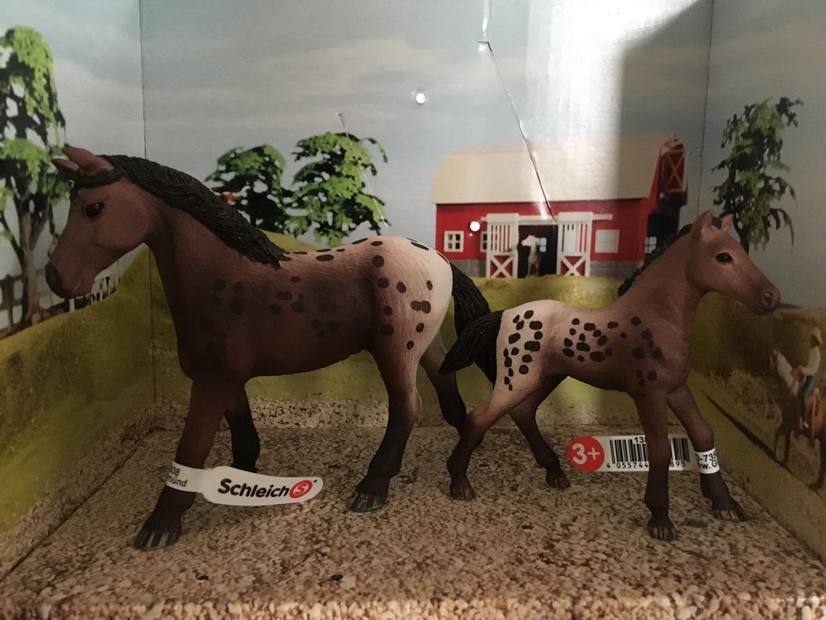 Mine Schleich Dyr - Navn: Ellinor B Race: Appaloosa Køn: hoppe Alder: 7 år Navn: Hindbærgårdens Estevana Køn: hoppe Alder: 1 uge Stamtavle: Mor: Ellinor Far: Tony billede 150