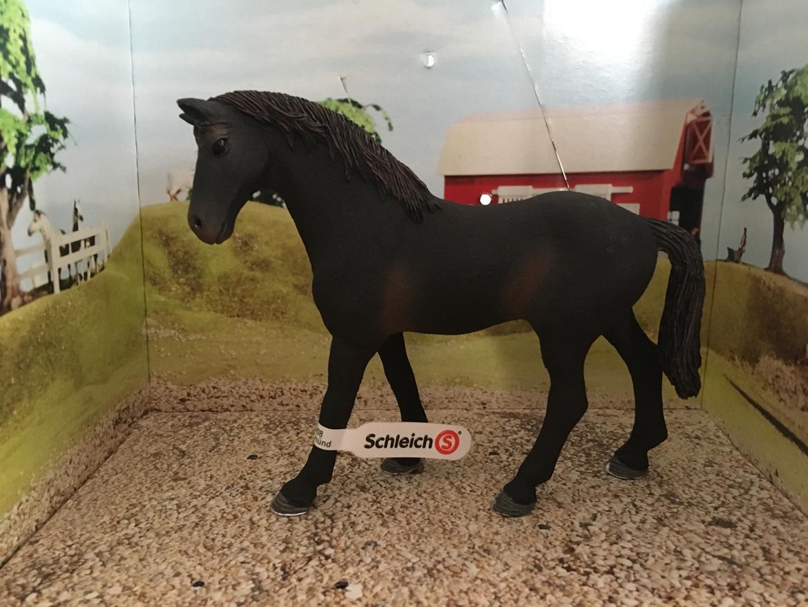 Mine Schleich Dyr - Navn: War Admiral Race: Fuldblod Køn: hingst Alder: 5 år billede 236