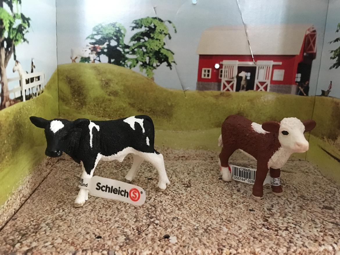Mine Schleich Dyr - Navn: VH Hilding (venstre) Race: Dansk Holstien Køn: Tyrekalv Alder: 3 uger Navn: Hindbærgårdens Pila Race: Herford Køn: kviekalv Alder: 4 uger billede 88