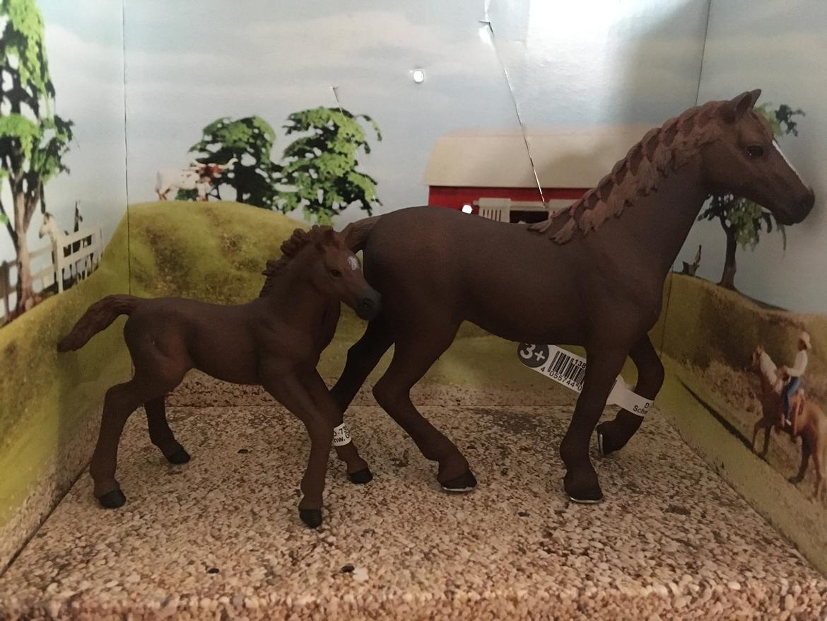 Mine Schleich Dyr - Navn: Zunflower Race: Fuldblod Køn: hoppe Alder: 6 år Navn: Hindbærgårdens Zenyatta Køn: hoppe Alder: 2 uger Stamtavle: Mor: Zunflower Far. War Admiral billede 239
