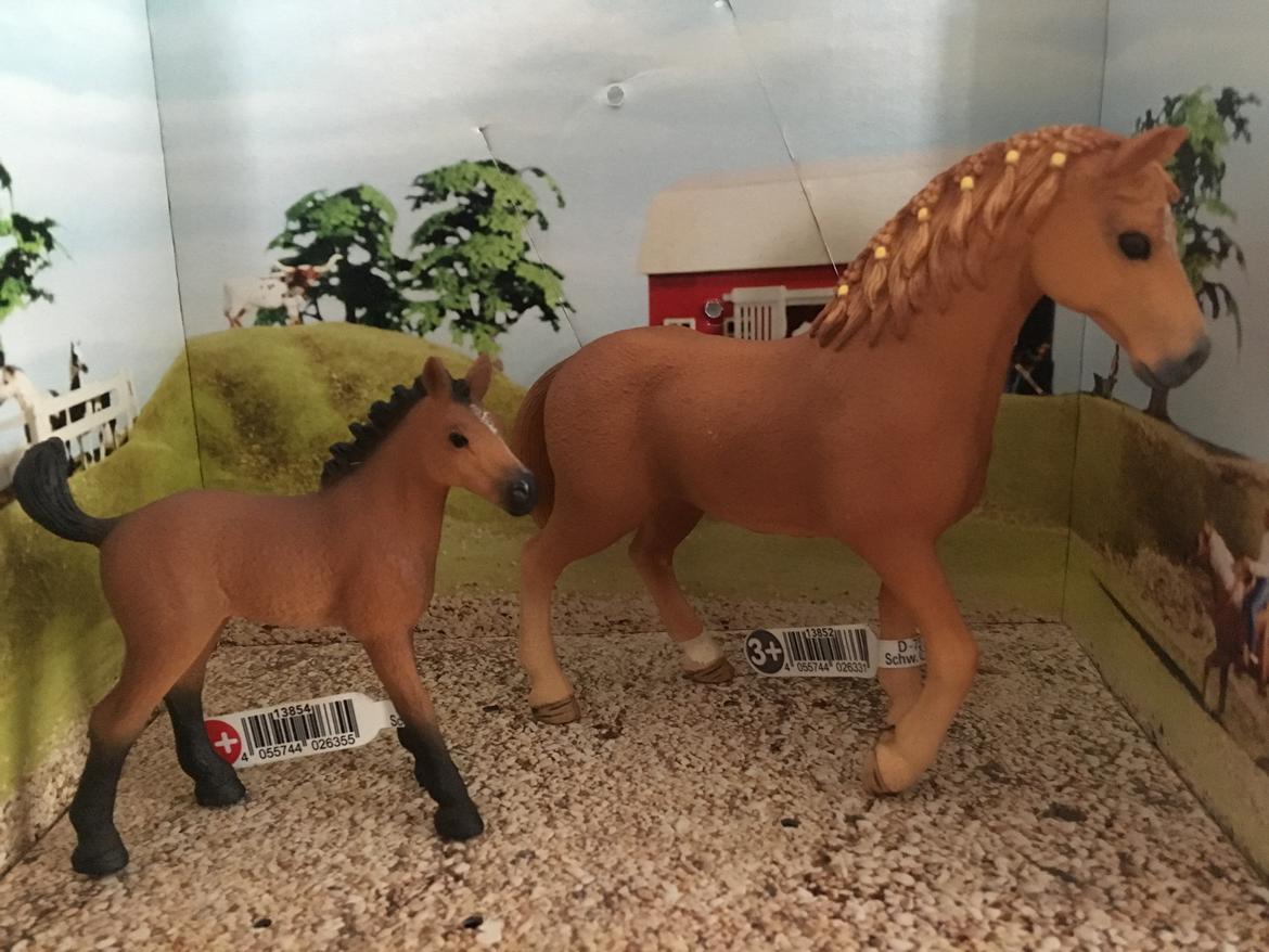 Mine Schleich Dyr - Navn: Lorelei Race: Quarter Køn: hoppe Alder: 6 år Navn: Hindbærgårdens Lathyrus Køn: hoppe Alder: 3 uger Stamtavle: Mor: Lorelei Far. Boddy billede 247