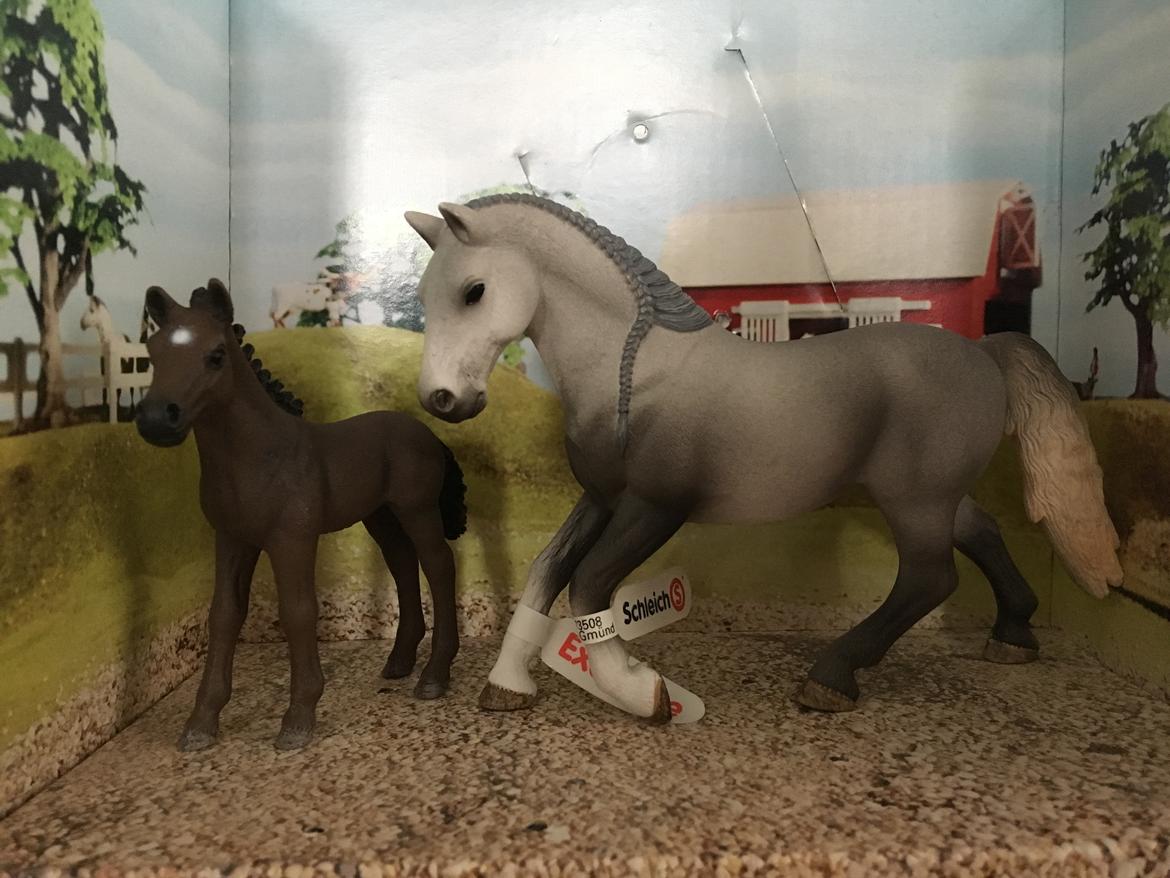 Mine Schleich Dyr - Navn: Zarah Race: Lipizzaner Køn: Hoppe Alder: 4 år Navn: Hindbærgårdens Zipra Køn: Hoppe Alder: 2 mdr. Stamtavle: Mor: Zarah Far: Ukendt billede 262
