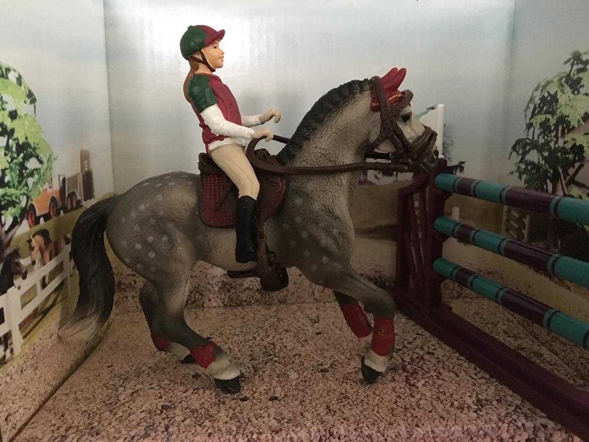 Mine Schleich Dyr - Navn: Kristall Race: Trakhener Køn: Hoppe Alder: 6 år Rytter: Heidi billede 263