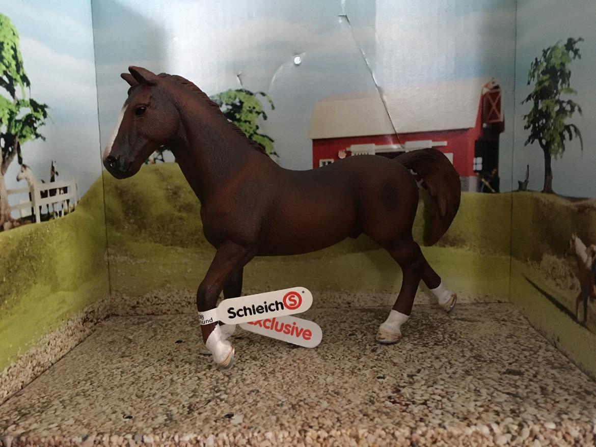 Mine Schleich Dyr - Navn: Adalwin Race: Trakhener Køn: Hingst Alder. 12 år billede 271