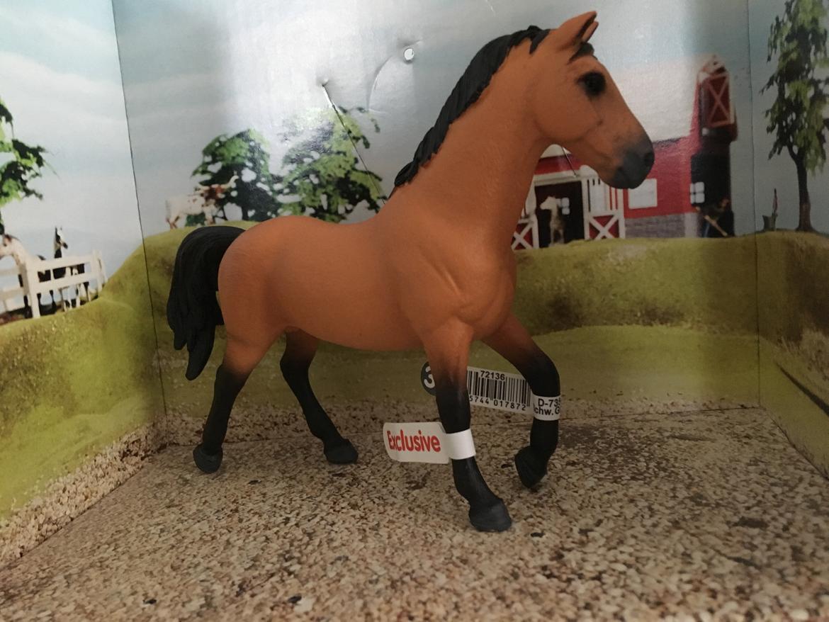 Mine Schleich Dyr - Navn: Theobald Race: Trakhener Køn: Hingst Alder: 9 år billede 273