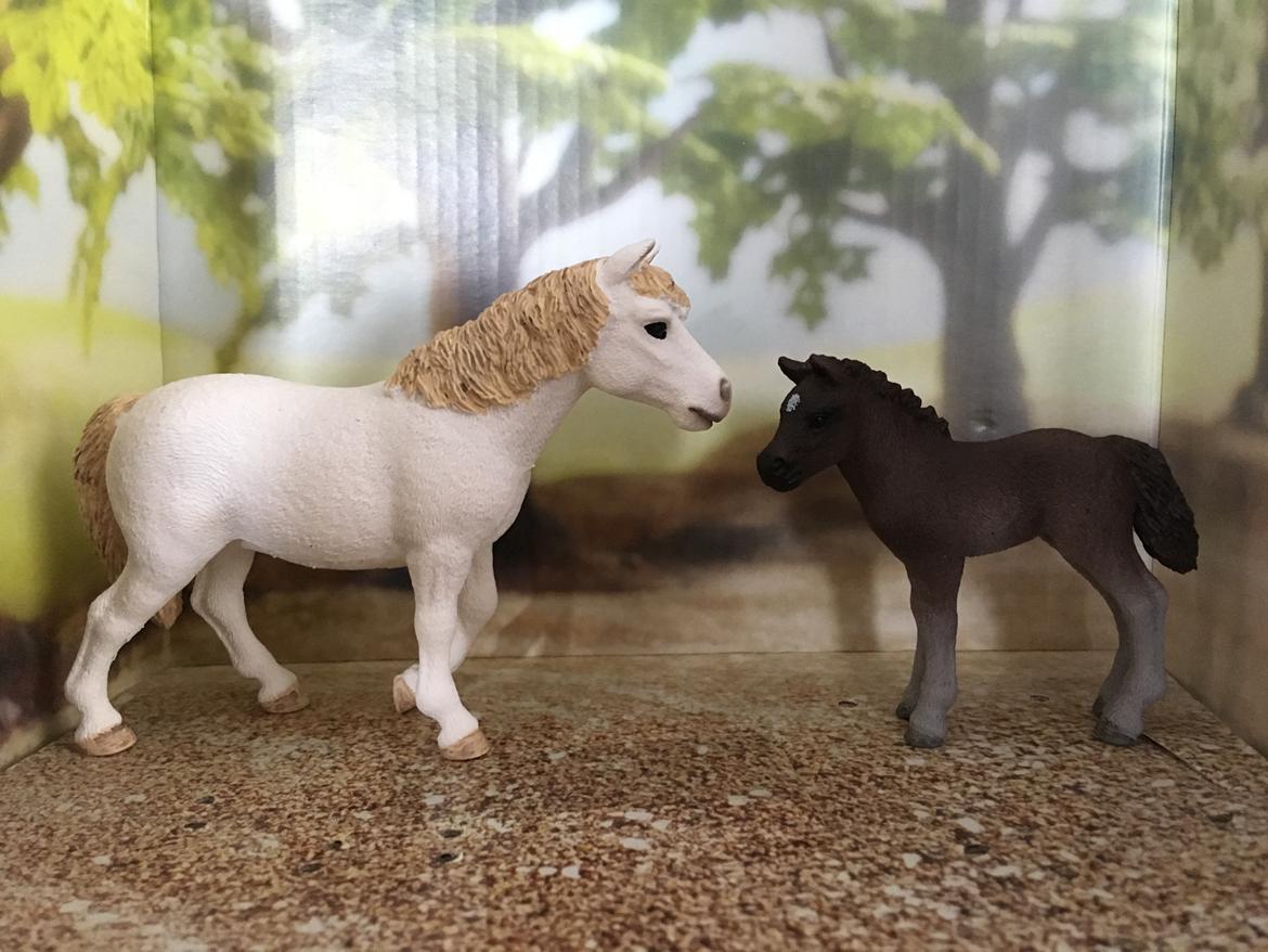 Mine Schleich Dyr - Navn: Daniella (Dania) Race: Dartmoor Køn: Hoppe Alder: 12 år Navn: Hindbærgårdens Dorella Køn: Hoppe Alder: 3 uger. Stamtavle: Mor: Daniella Far: Moonlight billede 111