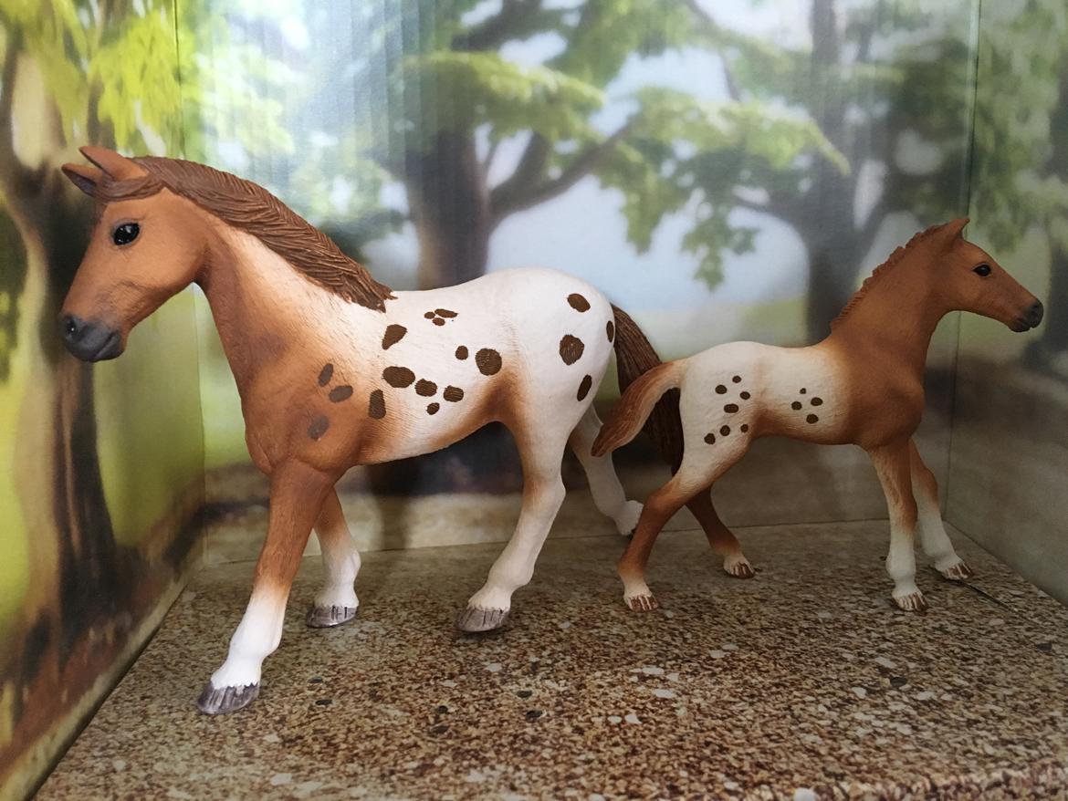 Mine Schleich Dyr - Navn: Kesie Race: Appaloosa Køn. Hoppe Alder: 8 år Navn: Hindbærgårdens Kayla Køn: Hoppe Alder. 4 uger Stamtavle: Mor: Kesie Far. Fornell billede 279