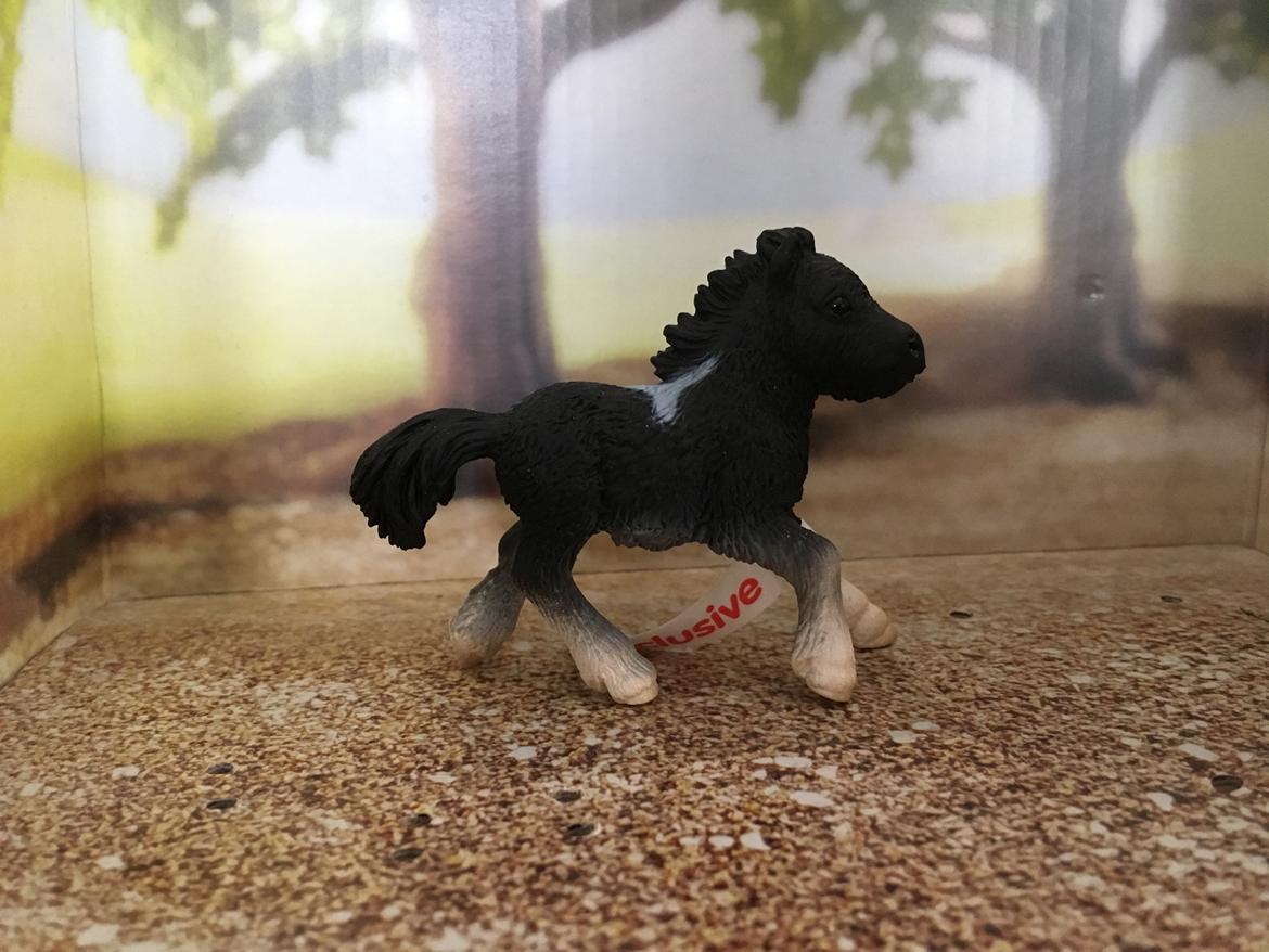 Mine Schleich Dyr - Navn: Hindbærgårdens TopSpot Race: Shetlænder Køn: Hingst Alder: 6 uger  billede 282